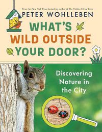 Cover image for What's Wild Outside Your Door?: Discovering Nature in the City