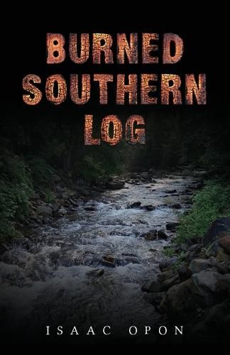 Cover image for Burned Southern Log