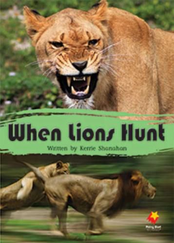 Cover image for When Lions Hunt