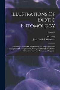 Cover image for Illustrations Of Exotic Entomology