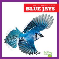 Cover image for Blue Jays