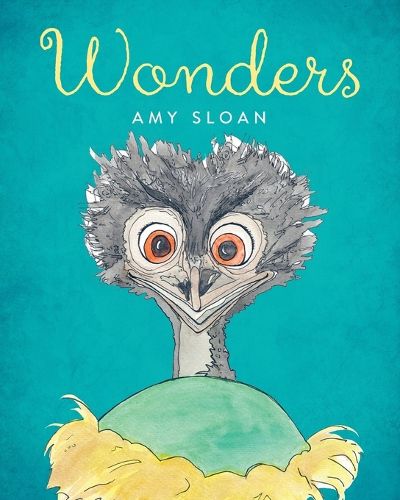 Cover image for Wonders