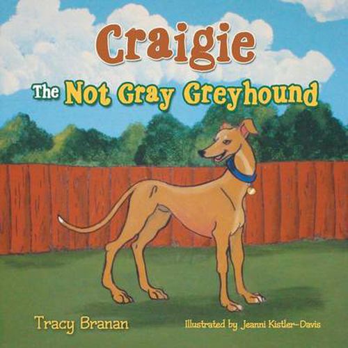 Craigie the Not Gray Greyhound