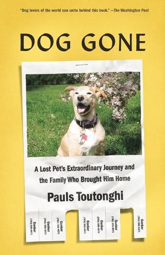 Dog Gone: A Lost Pet's Extraordinary Journey and the Family Who Brought Him Home