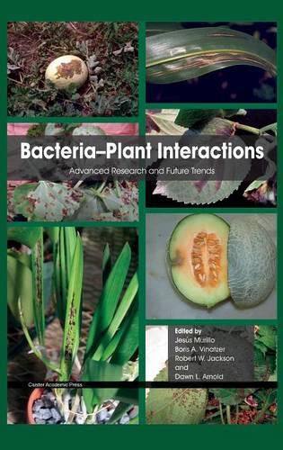 Bacteria-Plant Interactions: Advanced Research and Future Trends