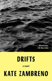 Cover image for Drifts: A Novel