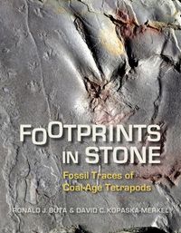 Cover image for Footprints in Stone: Fossil Traces of Coal-Age Tetrapods