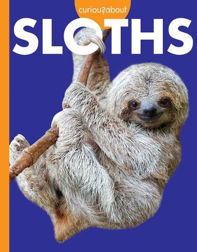 Cover image for Curious about Sloths