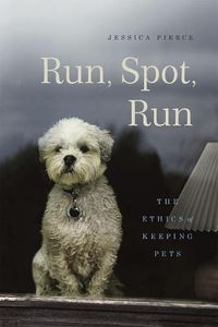 Cover image for Run, Spot, Run