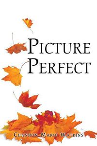 Cover image for Picture Perfect