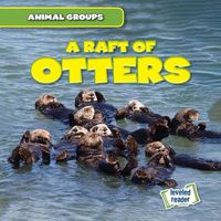 Cover image for A Raft of Otters