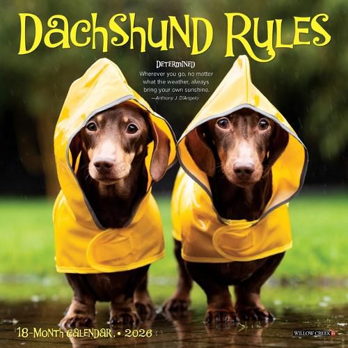 Cover image for Dachshund Rules 2026 Mini Wall Calendar