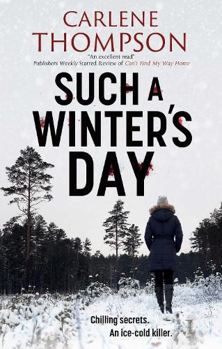 Cover image for Such a Winter's Day