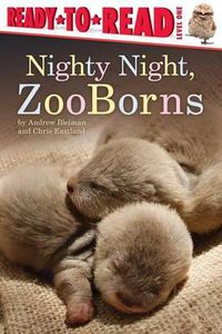 Cover image for Nighty Night, Zooborns: Ready-To-Read Level 1