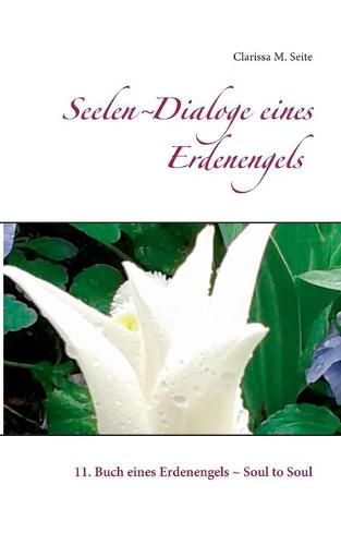 Cover image for Seelen-Dialoge eines Erdenengels: 11. Buch eines Erdenengels - Soul to Soul