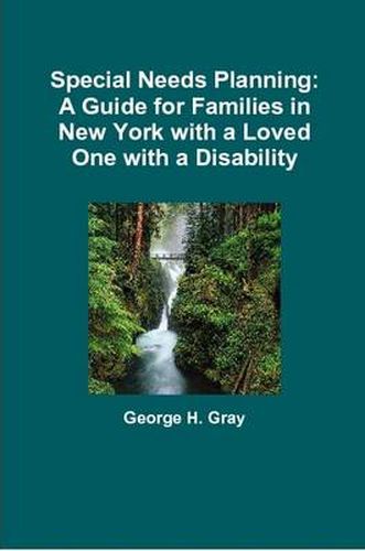 Cover image for Special Needs Planning: A Guide for Families in New York with a Loved One with a Disability