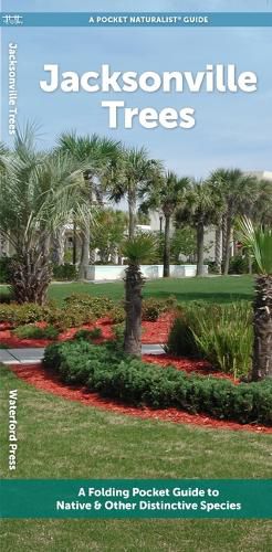 Cover image for Jacksonville Trees