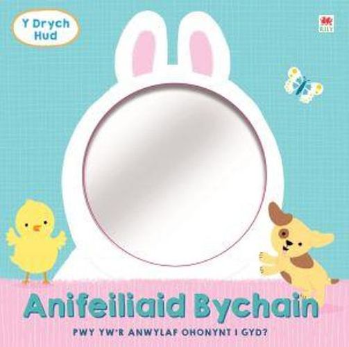 Cover image for Drych Hud, Y: Anifeiliaid Bychain