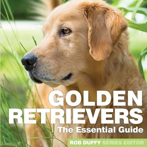 Cover image for Golden Retrievers: The Essential Guide