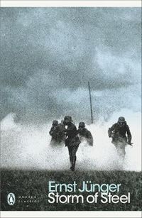 Cover image for Storm of Steel