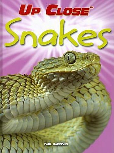 Cover image for Snakes