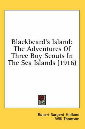 Blackbeard's Island: The Adventures of Three Boy Scouts in the Sea Islands (1916)