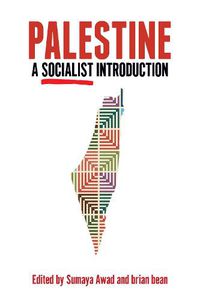 Cover image for Palestine: A Socialist Introduction: A Socialist Introduction