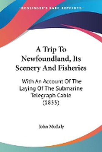 Cover image for A Trip To Newfoundland, Its Scenery And Fisheries: With An Account Of The Laying Of The Submarine Telegraph Cable (1855)