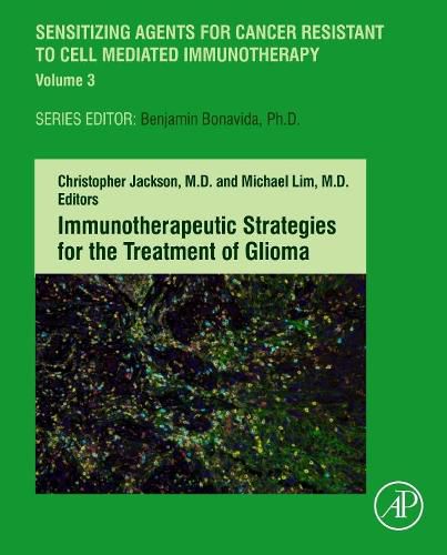 Cover image for Immunotherapeutic Strategies for the Treatment of Glioma