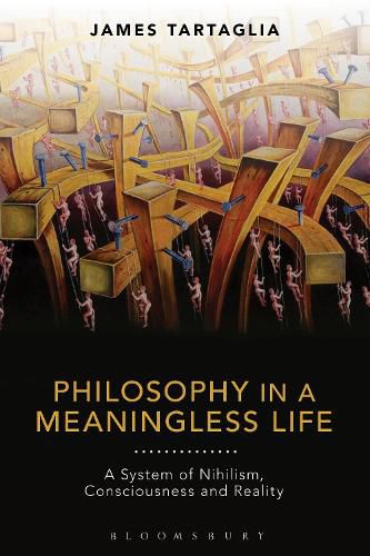 Cover image for Philosophy in a Meaningless Life: A System of Nihilism, Consciousness and Reality
