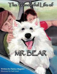 Cover image for The Wonderful Life of Mr. Bear