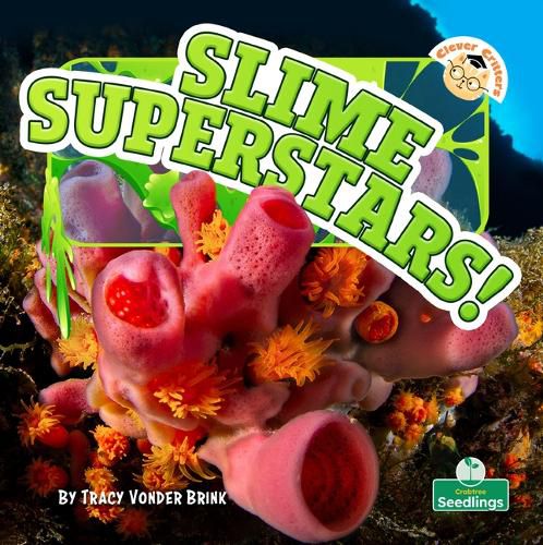 Cover image for Slime Superstars!