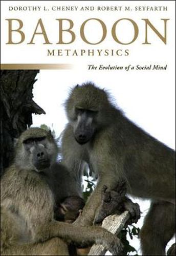 Cover image for Baboon Metaphysics: The Evolution of a Social Mind