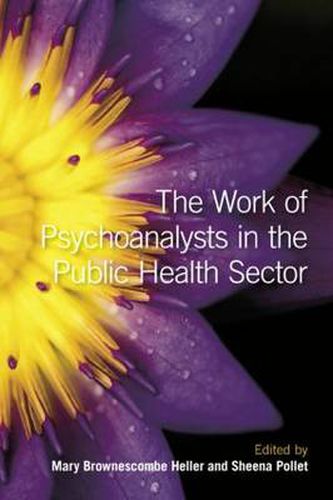 Cover image for The Work of Psychoanalysts in the Public Health Sector