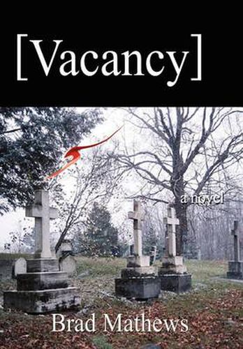 Cover image for Vacancy