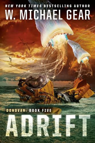 Cover image for Adrift