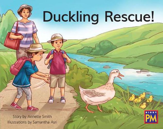 Cover image for Duckling Rescue: Leveled Reader Green Fiction Level 12 Grade 1-2