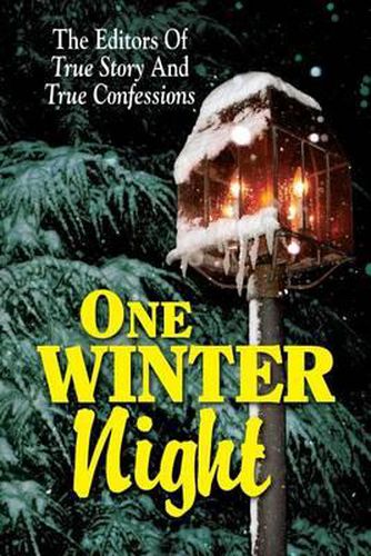 Cover image for One Winter Night