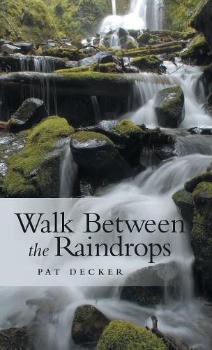 Cover image for Walk Between the Raindrops