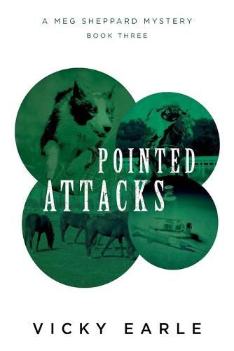 Cover image for Pointed Attacks