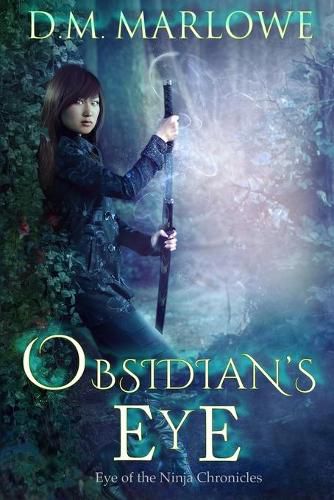 Cover image for Obsidian's Eye