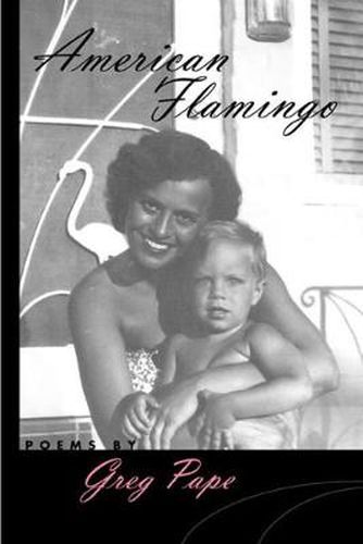 Cover image for American Flamingo