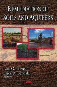 Cover image for Remediation of Soils & Aquifers