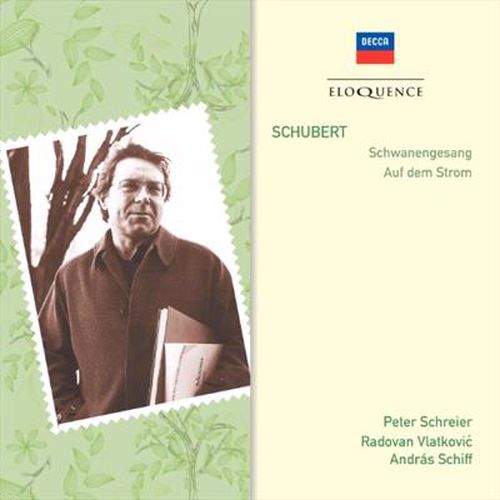 Cover image for Schubert Schwanengesang