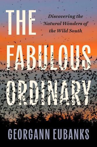 Cover image for The Fabulous Ordinary