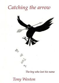 Cover image for Catching the Arrow