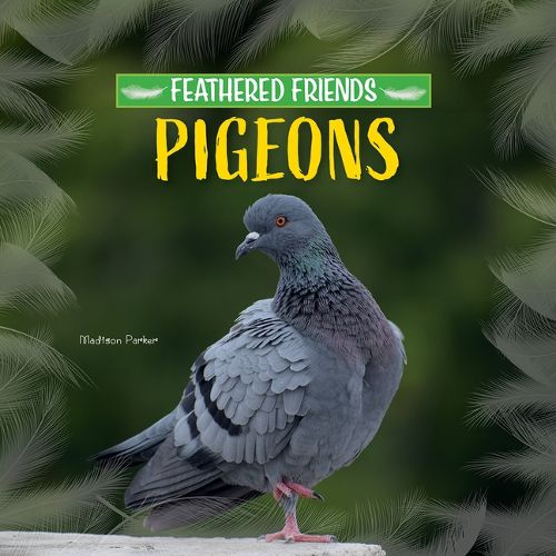 Cover image for Pigeons