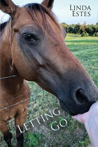 Cover image for Letting Go