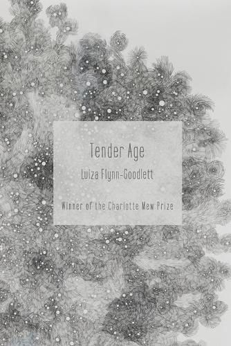 Cover image for Tender Age