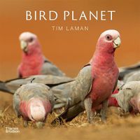 Cover image for Bird Planet